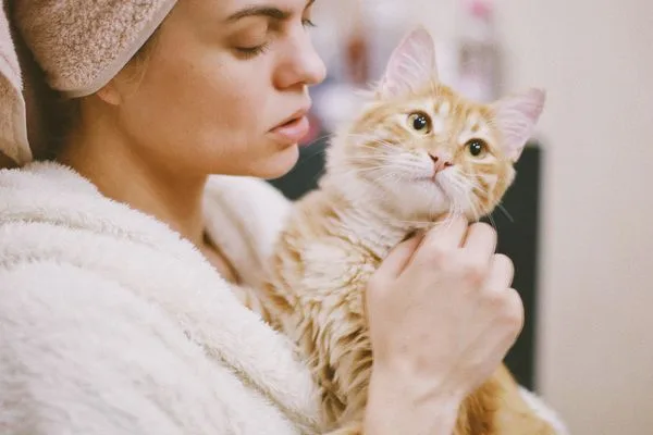 A groomer cradling a ginger cat mid-wash during a Bella Home visit